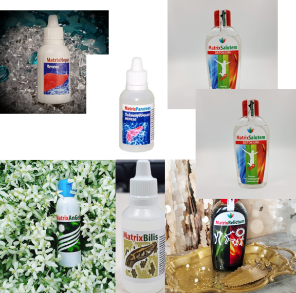 Новогодняя акция!